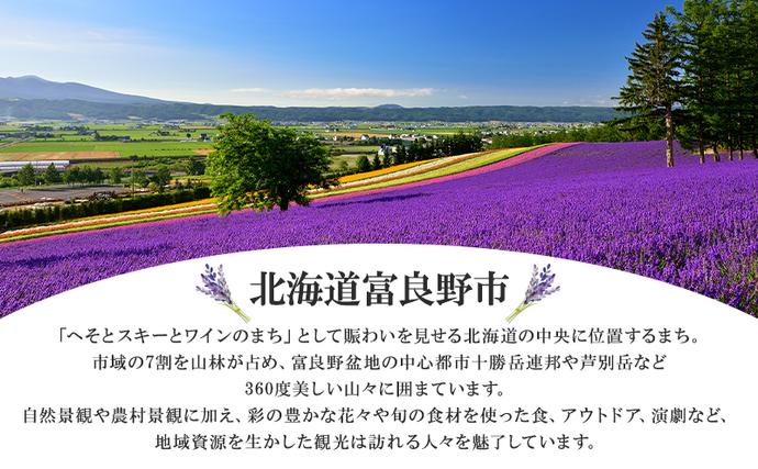 プリンスホテル 宿泊券 5000P×3枚 品川 新横浜 富良野など 新富良野プリンスホテル 宿泊券 スタンダードツインルーム (ホテル