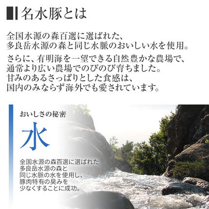 福岡県大木町のふるさと納税 池上ファームのおまかせスペシャルセット　AP06
