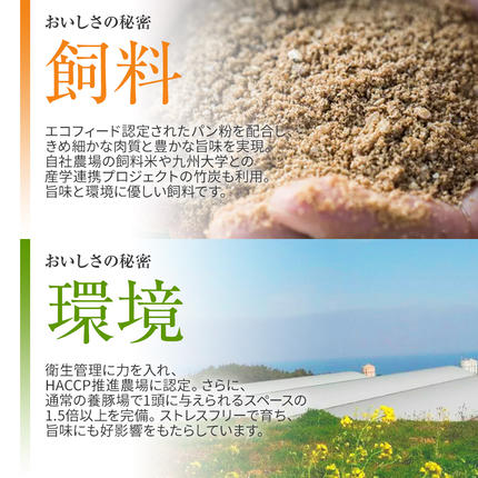 福岡県大木町のふるさと納税 池上ファームのおまかせスペシャルセット　AP06