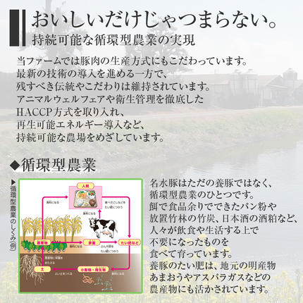福岡県大木町のふるさと納税 池上ファームのおまかせスペシャルセット　AP06