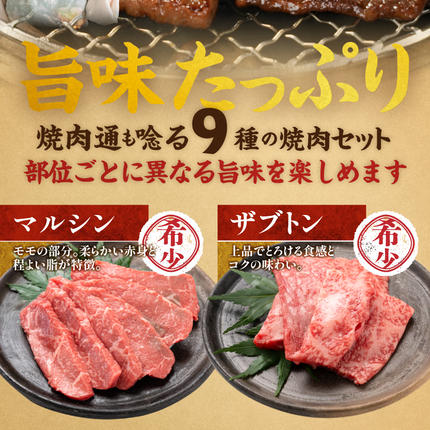 宮崎県都城市のふるさと納税 【数量限定】宮崎牛9種盛り焼肉セット_22-3101【肉 牛肉 人気 おすすめ 焼き肉 焼肉 BBQ】