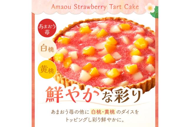福岡県飯塚市のふるさと納税 あまおう苺のタルトケーキ 6号(約18cm)4～6人分【A4-032】