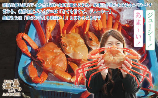 北海道江差町のふるさと納税 ＼配送月指定可／『北海道北前蟹』肩付き脚 8肩（4肩×2セット）計約2kg （殻付き）　北海道日本海産紅ずわいがに　カニかご漁師直販！厳格な鮮度管理で甘くてジューシーな本場の味をお届け　丁寧に茹であげ急速冷凍　解凍後すぐに食べれる　新鮮ボイルかに脚　焼き蟹　国産　かに足　北海道産べにずわいがに