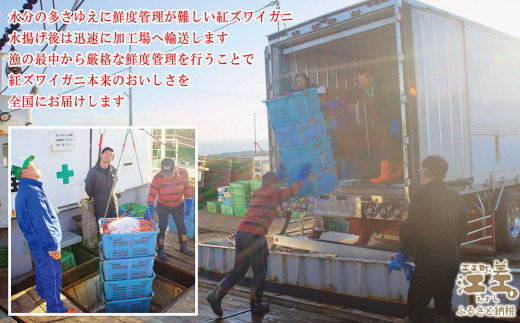 北海道江差町のふるさと納税 ＼配送月指定可／『北海道北前蟹』肩付き脚 8肩（4肩×2セット）計約2kg （殻付き）　北海道日本海産紅ずわいがに　カニかご漁師直販！厳格な鮮度管理で甘くてジューシーな本場の味をお届け　丁寧に茹であげ急速冷凍　解凍後すぐに食べれる　新鮮ボイルかに脚　焼き蟹　国産　かに足　北海道産べにずわいがに