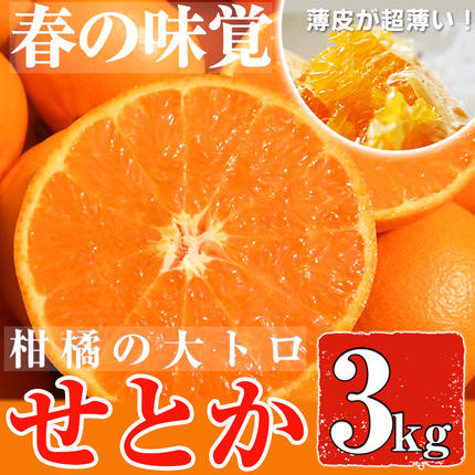 No.211 ＜先行予約受付中！2026年