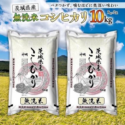 茨城県つくばみらい市のふるさと納税 令和7年産 無洗米 茨城 こしひかり 10kg（ 無洗米 5kg × 2本 ） 新生活 プレゼント 新生活応援 必要なもの 便利 おすすめ 消耗品 一人暮らし 二人暮らし 必要