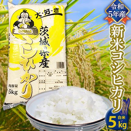 令和5年産】 コシヒカリ 白米 5kg 米 お米 コメ おいしい 茨城県産 