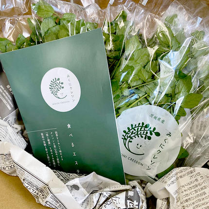 茨城県筑西市のふるさと納税 みくにクレソン100g×15袋 美容 健康 野菜 スーパーフード クレソン [CY004ci]