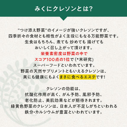 茨城県筑西市のふるさと納税 みくにクレソン100g×15袋 美容 健康 野菜 スーパーフード クレソン [CY004ci]