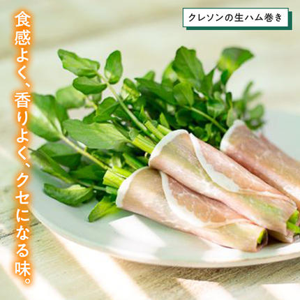 茨城県筑西市のふるさと納税 みくにクレソン100g×15袋 美容 健康 野菜 スーパーフード クレソン [CY004ci]