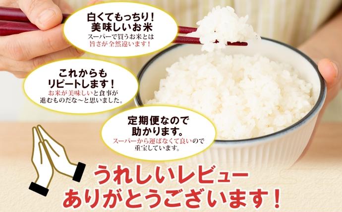 北海道倶知安町のふるさと納税 定期便 12ヶ月連続12回 北海道産 ゆめぴりか 精米 5kg 米 特A 白米 お取り寄せ ごはん 道産米 ブランド米 1年 お米 ご飯 おまとめ買い ホクレン 北海道 倶知安町 【定期便・お米・ゆめぴりか・精米】