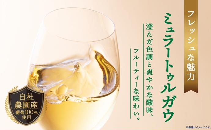 北海道洞爺湖町のふるさと納税 北海道 月浦ワイン 赤 白 ワイン 750ml×各1本 ドルンフェルダー ミュラートゥルガウ お酒 アルコール ブドウ酒 家飲み お祝い 贈答用 ギフト 月浦ワイナリー 送料無料 赤ワイン 白ワイン