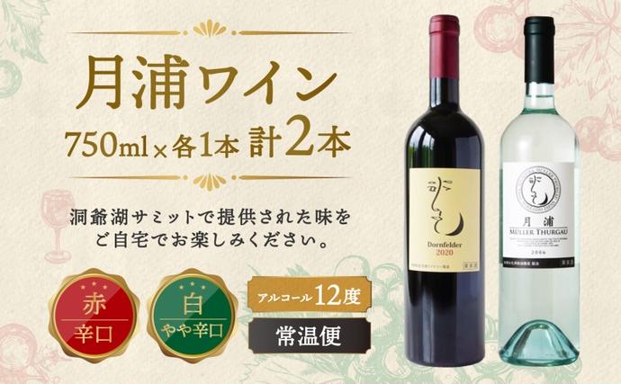 北海道洞爺湖町のふるさと納税 北海道 月浦ワイン 赤 白 ワイン 750ml×各1本 ドルンフェルダー ミュラートゥルガウ お酒 アルコール ブドウ酒 家飲み お祝い 贈答用 ギフト 月浦ワイナリー 送料無料 赤ワイン 白ワイン