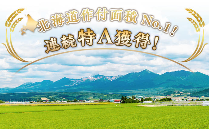 北海道上富良野町のふるさと納税 【令和8年産】2026年11月から順次出荷 北海道上富良野町産 【ななつぼし】5kg お米 白米 精米 ライス ご飯 ブランド米 銘柄米 お弁当 おにぎり 北海道産  食卓 産 地直送 主食 炭水化物