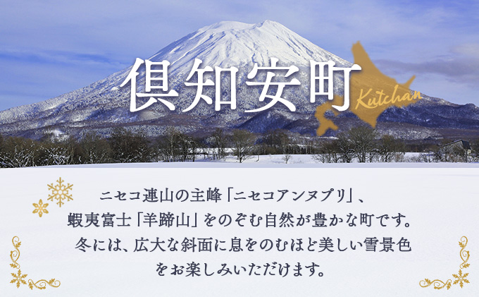 北海道倶知安町のふるさと納税 北海道倶知安町　日本旅行　地域限定旅行クーポン150,000円分 ツアー 宿泊 旅行 交通 5年 トラベル 宿泊券 チケット スキー スノボ 旅行券 観光 北海道 旅行 ニセコ 倶知安町