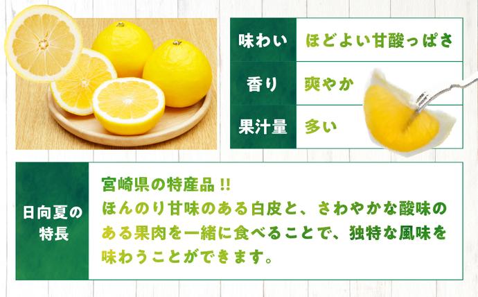宮崎県日南市のふるさと納税 訳あり 日向夏 計5kg以上 期間限定 数量限定 果物 フルーツ くだもの 柑橘 みかん 令和8年発送 ジュース フルーツサンド おやつ デザート 国産 食品 おすすめ バラ詰め おすそ分け ご家庭用 手土産 宮崎県 日南市 送料無料_BB98-23