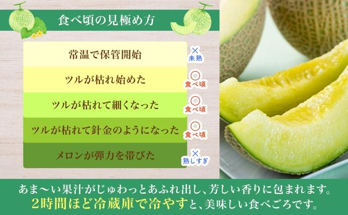 2026年夏発送】北海道 青肉メロン 月雫 秀品 2玉 約1.6kg 計約3.2kg