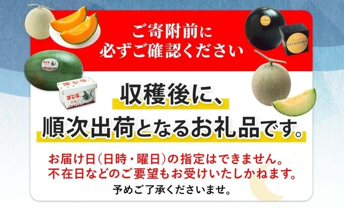 先行受付〉【2027年夏発送】北海道 赤肉メロン 北の女王 秀品 約1.6kg