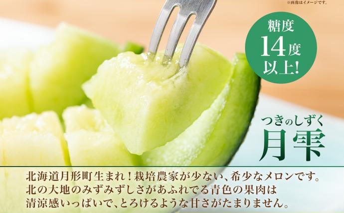 北海道月形町のふるさと納税 【2026年夏発送】北海道 赤肉メロン 北の女王 青肉メロン 月雫 秀品 約1.6kg 各2玉 令和8年 メロン 果物 フルーツ 旬 希少 甘い 豊潤 国産 ご褒美 産地直送 ギフト お祝い 贈答品 贈り物 お中元 常温 お取り寄せ