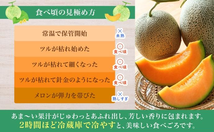 北海道月形町のふるさと納税 【2026年夏発送】北海道 赤肉メロン 北の女王 青肉メロン 月雫 秀品 約1.6kg 各2玉 令和8年 メロン 果物 フルーツ 旬 希少 甘い 豊潤 国産 ご褒美 産地直送 ギフト お祝い 贈答品 贈り物 お中元 常温 お取り寄せ
