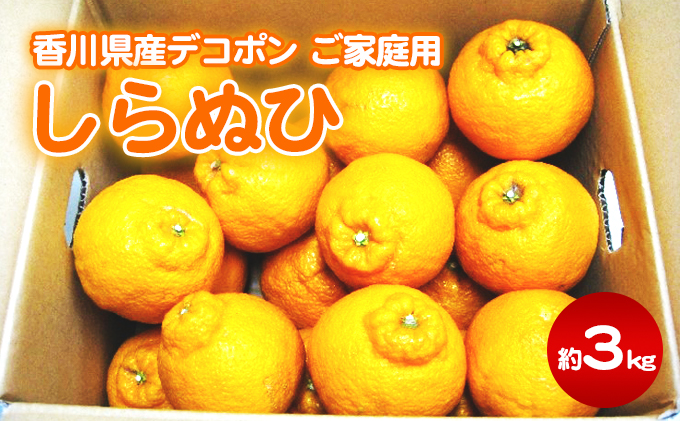 ご家庭用しらぬひ 約3kg デコポン フルーツ 果物類 みかん 柑橘類