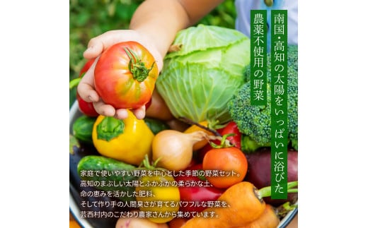 高知県芸西村のふるさと納税 SLV001　野菜セット（7‐9種類）栽培期間中農薬不使用！ 季節の野菜 旬 無農薬 野菜 やさい 新鮮 自然 健康 セット 詰め合わせ 冷蔵 美味しい おいしい 食べ物 食材 秋 旬の味覚 ご当地 お取り寄せ 芸西村 6000円 故郷納税 ふるさとのうぜい 返礼品 高知県産 高知