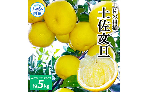 TKA040 土佐の柑橘 土佐文旦 5kg 詰め合わせ （皮むき機）付き 文旦 5