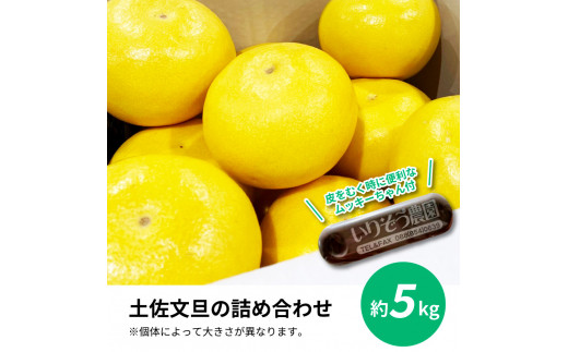 TKA040 土佐の柑橘 土佐文旦 5kg 詰め合わせ （皮むき機）付き 文旦 5