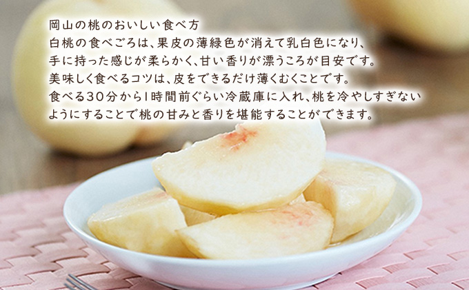 岡山県里庄町のふるさと納税 桃 【 2026年 先行予約 】 岡山県産 清水 白桃 （ 白桃 ） 約2kg（6～7玉） 《2026年7月中旬～8月上旬頃出荷》 白桃 岡山 フルーツ 果物 先行予約 数量限定 期間限定 里庄町 モモ もも