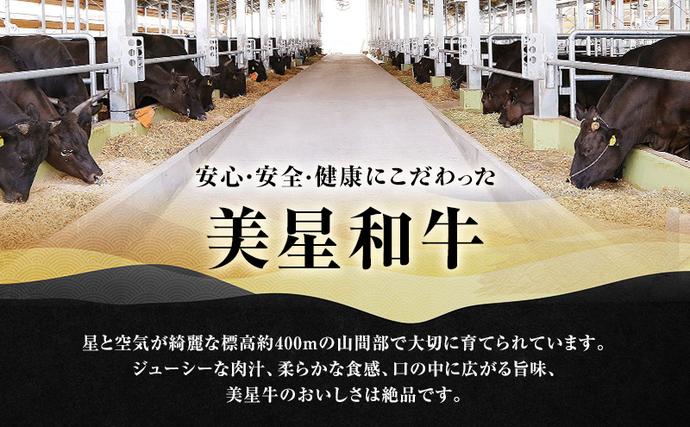 岡山県里庄町のふるさと納税 美星和牛 ステーキ切り落とし 約460g  牛肉 岡山県 里庄町 送料無料