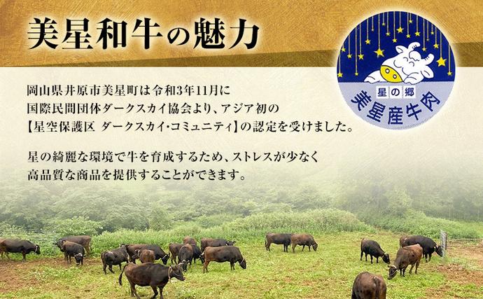 岡山県里庄町のふるさと納税 美星和牛 ステーキ切り落とし 約460g  牛肉 岡山県 里庄町 送料無料
