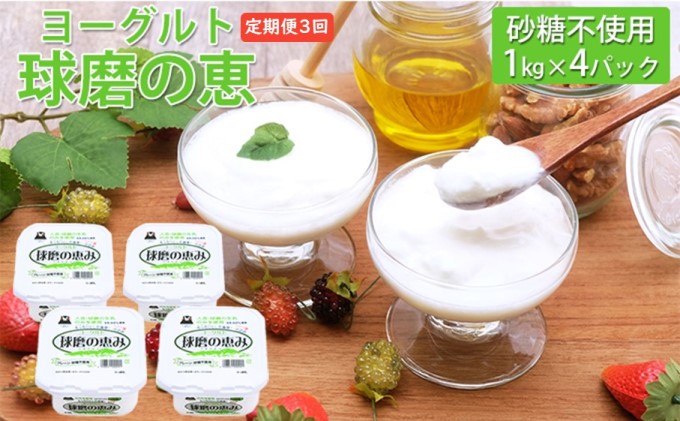 定期便3回 球磨の恵ヨーグルト 1kg×4パック（砂糖不使用）【配送不可