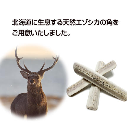 北海道白老町のふるさと納税 鹿の角 エゾシカ 犬のおもちゃ 『鹿角さん』 小型犬用　四つ割り　1本
