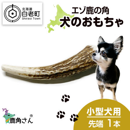 鹿の角 エゾシカ 犬のおもちゃ 『鹿角さん』 小型犬用 先端 1本