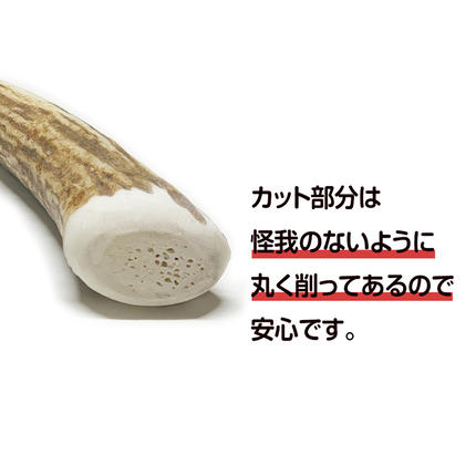 鹿の角 エゾシカ 犬のおもちゃ 『鹿角さん』 小型犬用 先端 1本