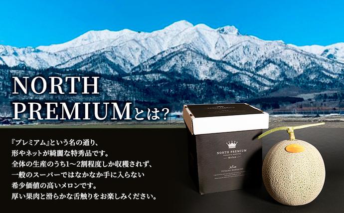 北海道富良野市のふるさと納税 【2026年6月発送】富良野 メロン『NORTH PREMIUM』1玉 約2kg以上 フルーツ 果物