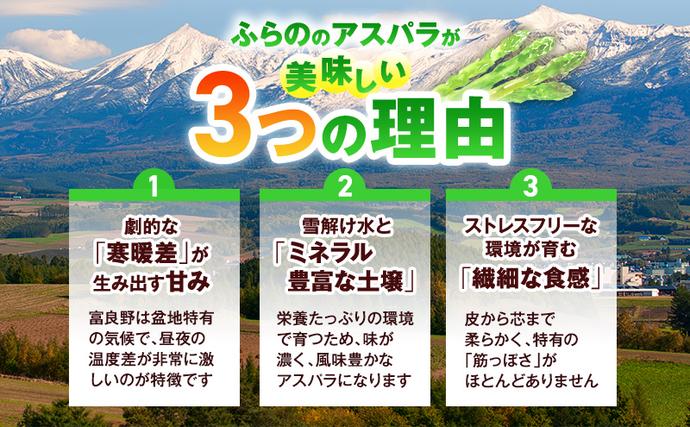 北海道富良野市のふるさと納税 【2026年5月発送】北海道 富良野産 露地 グリーン アスパラ Lサイズ約1kg 野菜 アスパラガス
