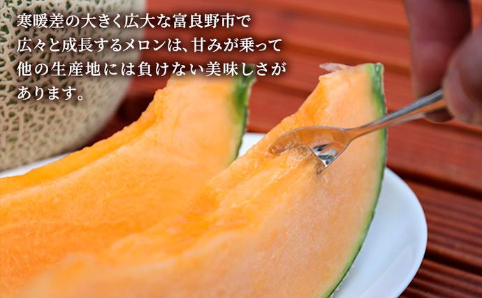 北海道富良野市のふるさと納税 【2026年6月発送】富良野 メロン『NORTH PREMIUM』1玉 約2kg以上 フルーツ 果物