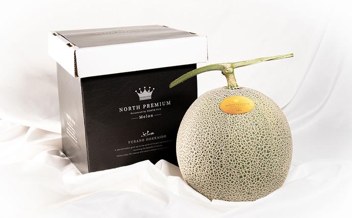 北海道富良野市のふるさと納税 【2026年6月発送】富良野 メロン『NORTH PREMIUM』1玉 約2kg以上 フルーツ 果物