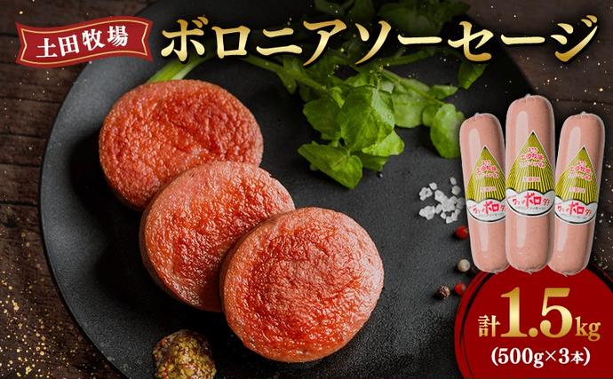 生食OK！ジャージーミート使用 ボロニアソ