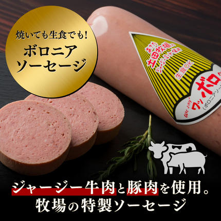 ボロニアソーセージ 500g 3本 生食OK ジャージーミート使用 土田牧場