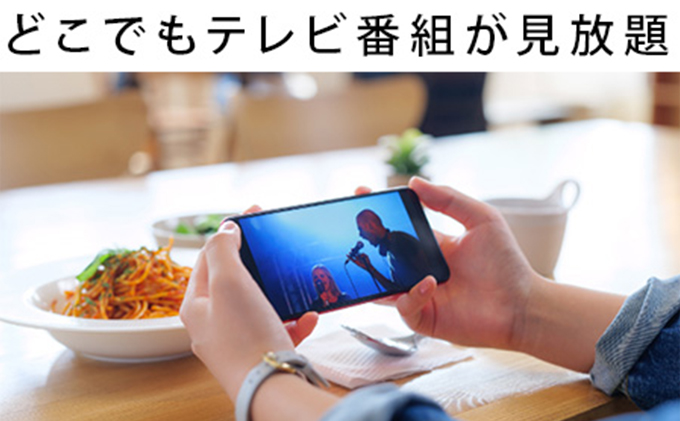 愛知県日進市のふるさと納税 BUFFALO スマホでテレビが楽しめるレコーダー nasne (R) HDDレコーダー 家電