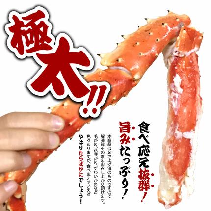 北海道石狩市のふるさと納税 特大 ボイルたらば蟹脚 5Lサイズ(冷凍総重量1.0kg×1肩)