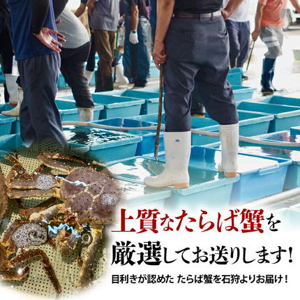 北海道石狩市のふるさと納税 特大 ボイルたらば蟹脚 5Lサイズ(冷凍総重量1.0kg×1肩)