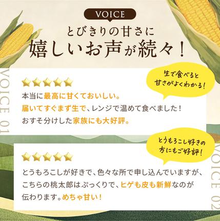 岡山県瀬戸内市のふるさと納税 ［2026年先行予約］牛窓産とうもろこし まるでフルーツ！最高糖度25度超え 生で甘い、茹でて美味い！ 黄色 とうもろこし 「桃太郎コーン」約4kg（8～12本入り） 野菜