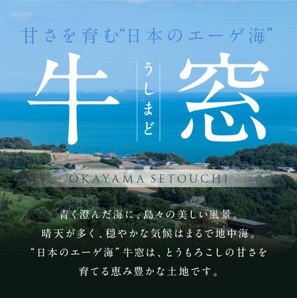 岡山県瀬戸内市のふるさと納税 ［2026年先行予約］牛窓産とうもろこし まるでフルーツ！最高糖度25度超え 生で甘い、茹でて美味い！ 黄色 とうもろこし 「桃太郎コーン」約4kg（8～12本入り） 野菜
