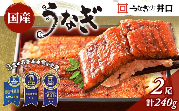 静岡県浜松市のふるさと納税 国産うなぎ 蒲焼き 2尾 (120g×2尾) 山椒 たれ セット 詰め合わせ うなぎの井口 国産ウナギ 国産 うなぎ 鰻 蒲焼き うなぎの蒲焼 鰻の蒲焼き 小分け おすすめ 贈答用 ギフト 冷蔵 静岡 静岡県 浜松市 【配送不可：離島】