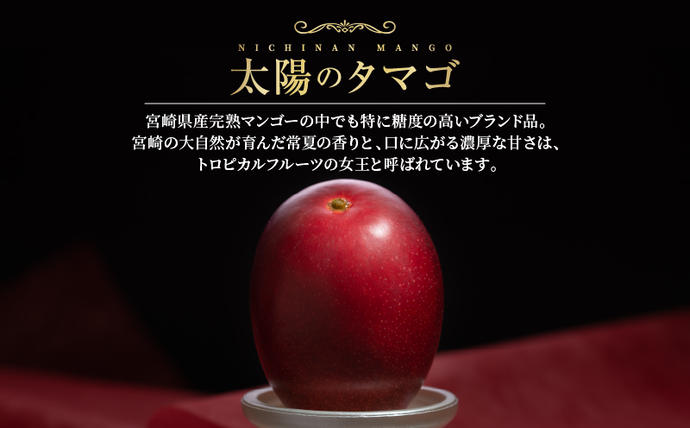 宮崎県日南市のふるさと納税 完熟マンゴー 太陽のタマゴ 2玉 ～ 3玉 期間限定 数量限定 マンゴー 宮崎 フルーツ 果物 くだもの 国産 食品 先行予約 2026 令和8年発送 濃厚 デザート おやつ おすすめ 冷蔵 ご褒美 おすそわけ 化粧箱入り ギフト プレゼント 贈り物 贈答 日南市 送料無料_FD13-25