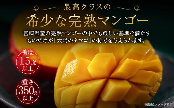 宮崎県日南市のふるさと納税 完熟マンゴー 太陽のタマゴ 2玉 ～ 3玉 期間限定 数量限定 マンゴー 宮崎 フルーツ 果物 くだもの 国産 食品 先行予約 2026 令和8年発送 濃厚 デザート おやつ おすすめ 冷蔵 ご褒美 おすそわけ 化粧箱入り ギフト プレゼント 贈り物 贈答 日南市 送料無料_FD13-25