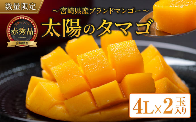 完熟マンゴー 太陽のタマゴ 赤秀品 4L 